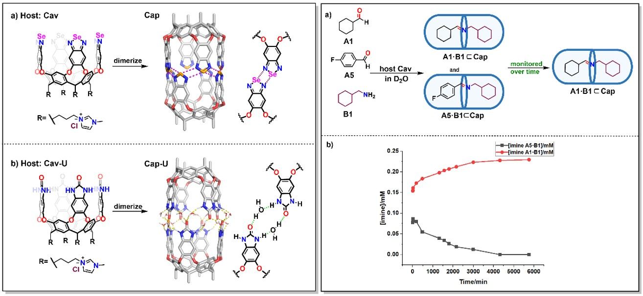 20250407-C1.jpg 20250407-C1.jpg